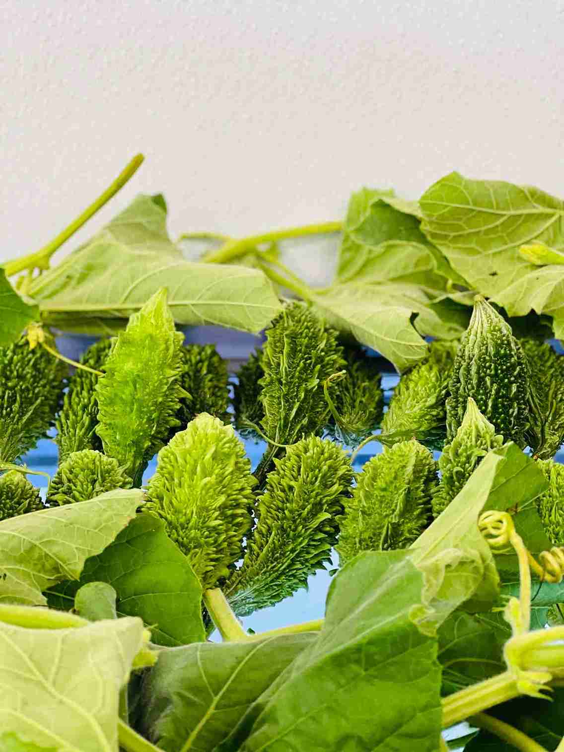 Fresh green bitter gourds (Korola/Uchhe) with their natural vines on display at Bismillah Grocery & Meat Market.