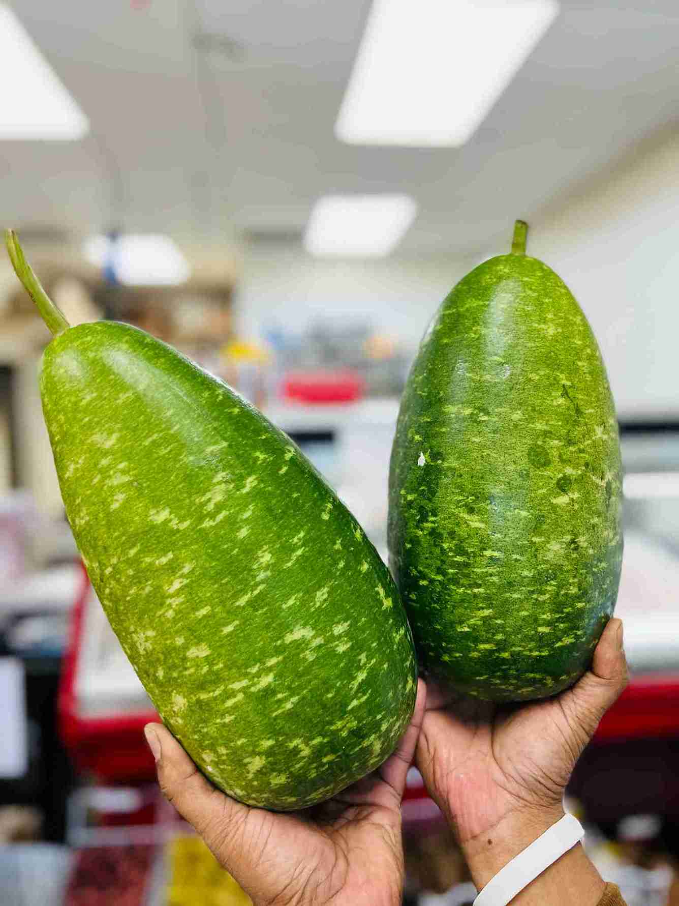 Fresh green bottle gourds held by hand at Bismillah Grocery & Meat Market.