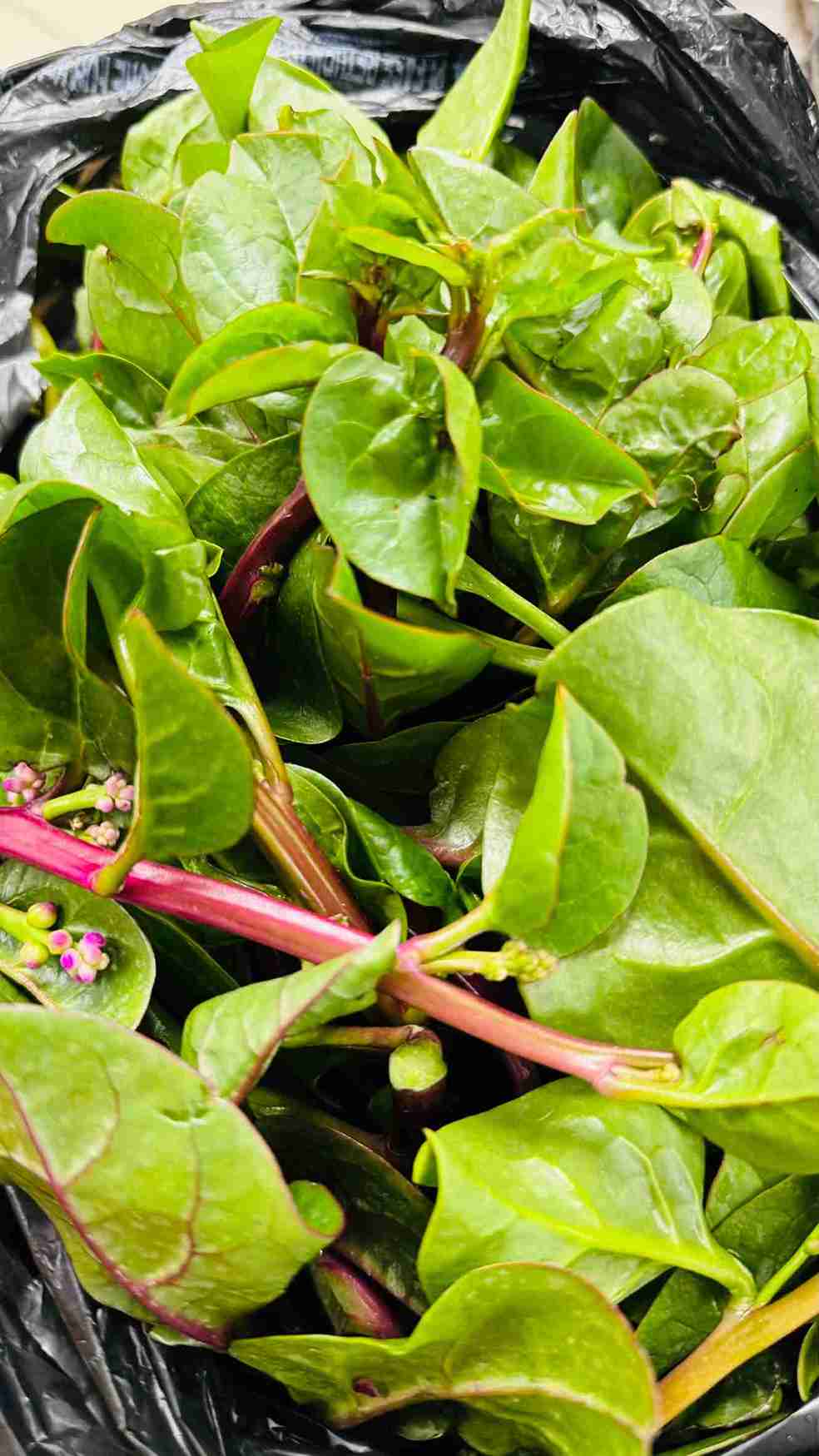 Bundles of fresh Malabar spinach with thick green leaves and purple stems, known as Pui Shak, at Bismillah Grocery & Meat Market.