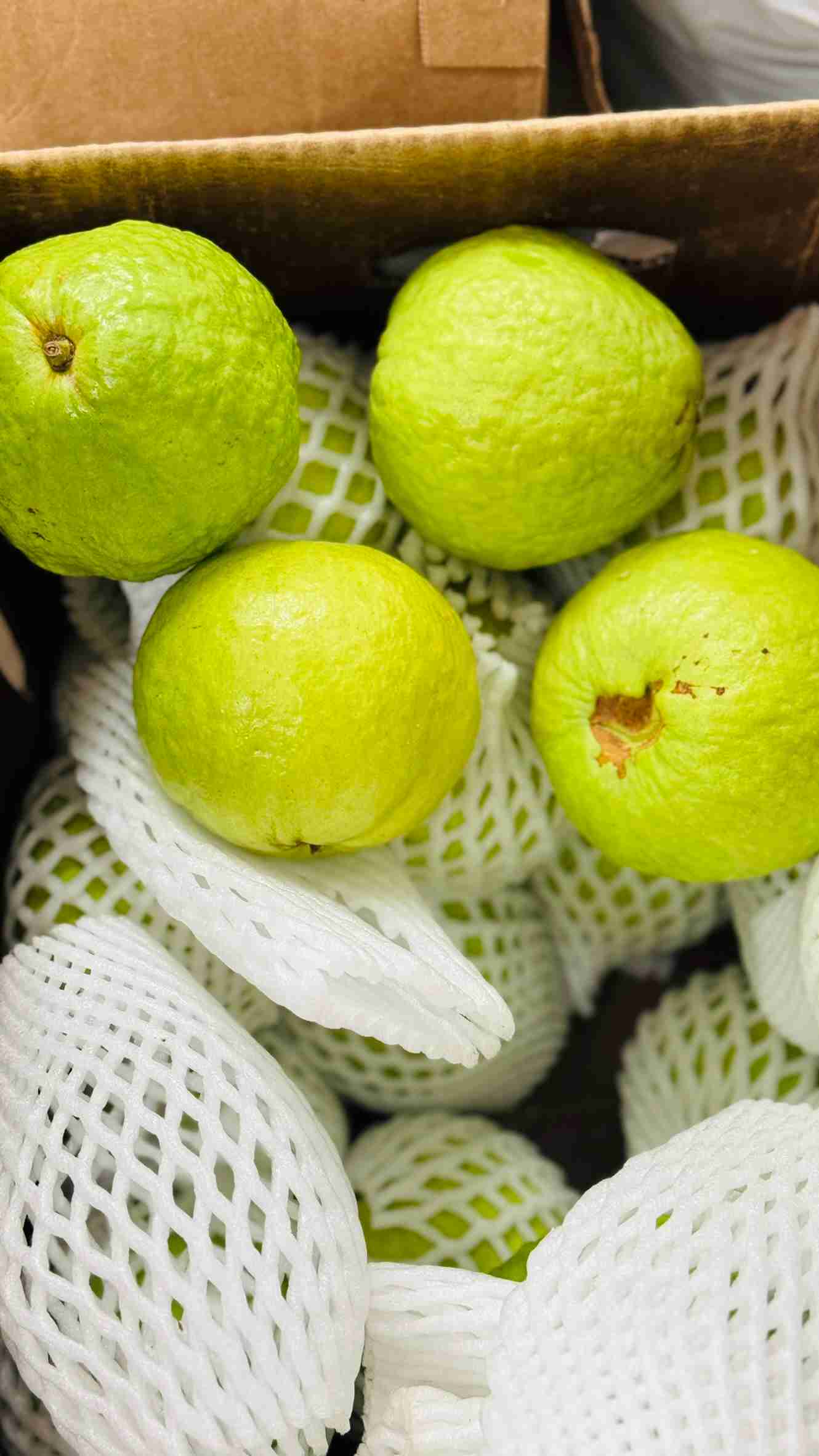 Fresh, large green guavas (Peyara) protected in white mesh packaging on display at Bismillah Grocery & Meat Market.