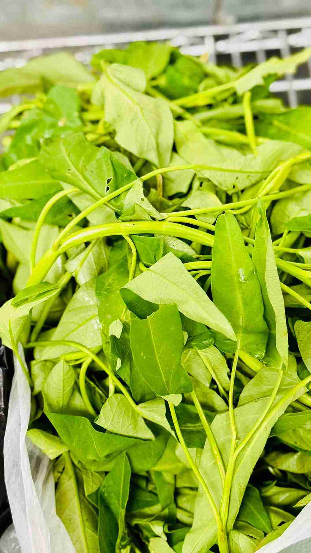A bunch of fresh green water spinach leaves and hollow stems, known as Kolmi Shak, at Bismillah Grocery & Meat Market.