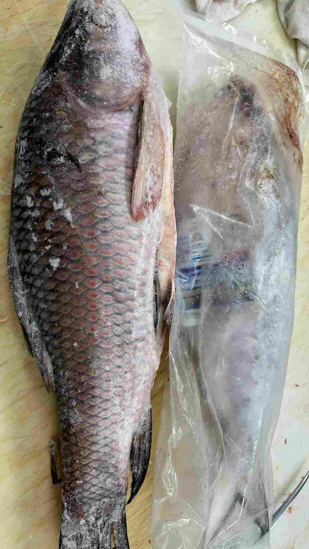 Frozen Whole Carp