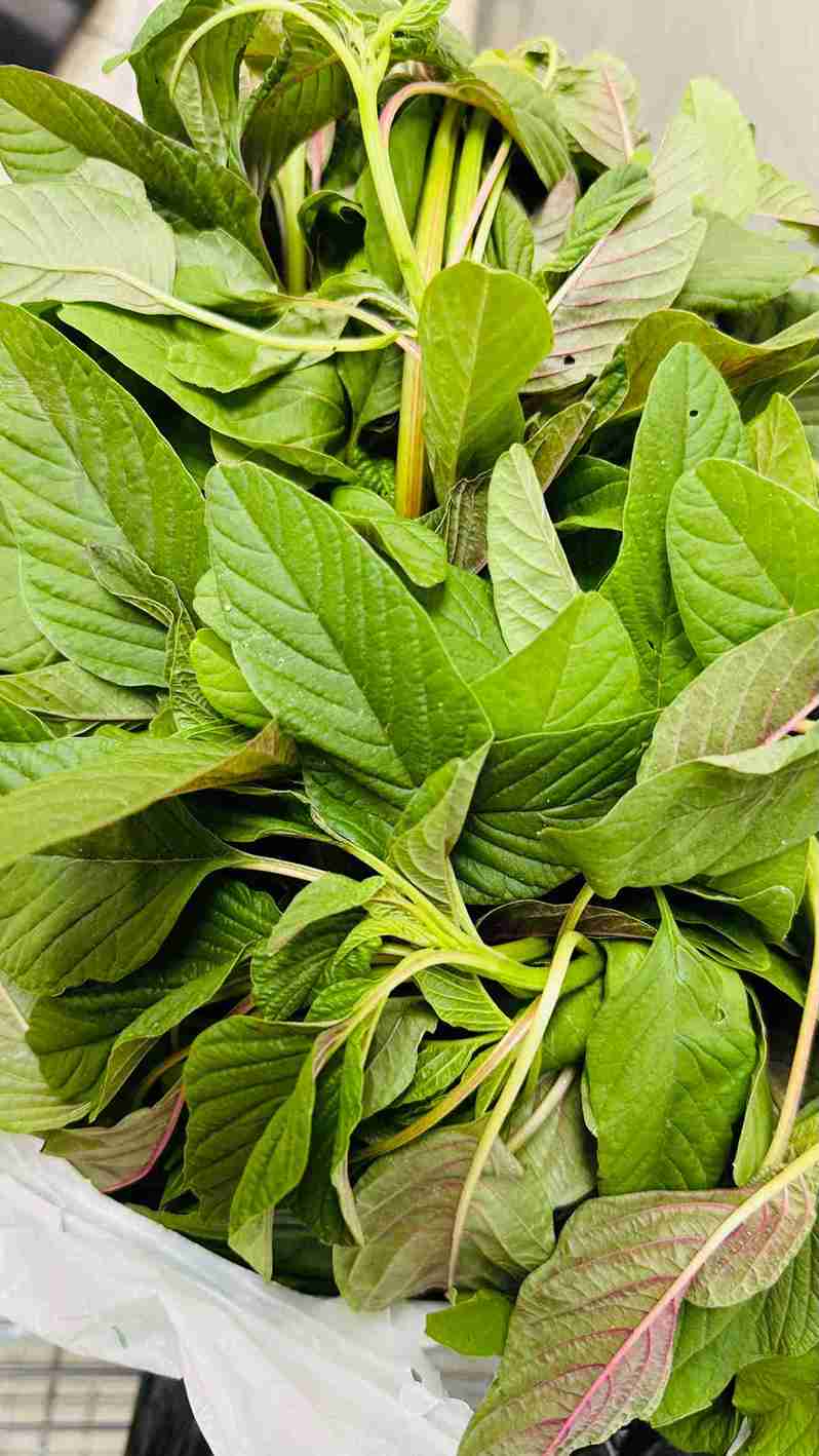 A bundle of fresh green amaranth leaves, known as Data Shak, at Bismillah Grocery & Meat Market.