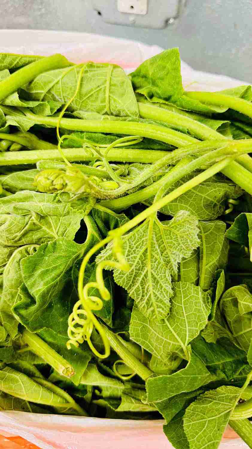 Fresh green pumpkin leaves and tender shoots, known as Kumra Shak, at Bismillah Grocery & Meat Market.