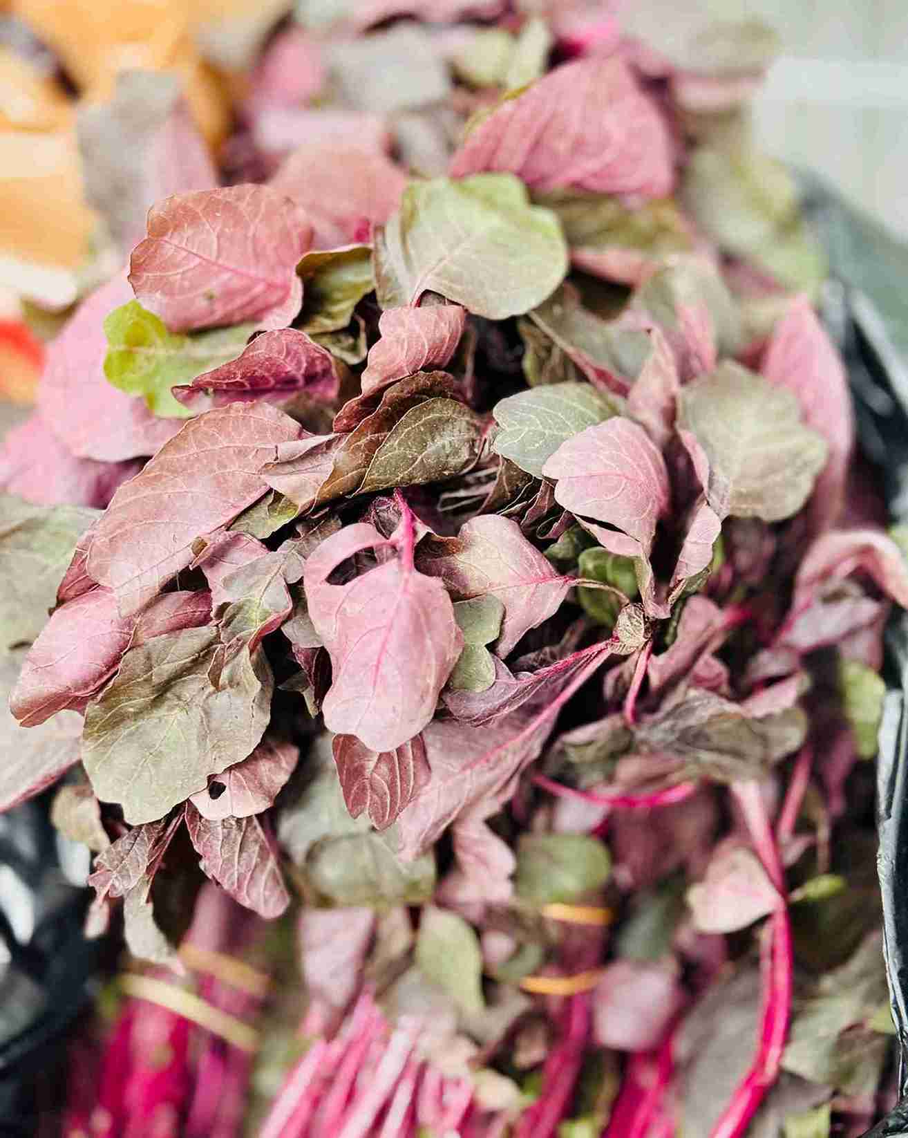 Bundles of fresh vibrant Red Amaranth leaves, known as Lal Shak, at Bismillah Grocery & Meat Market.